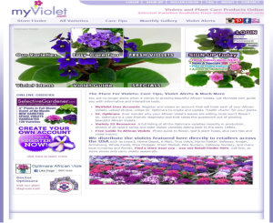 Myviolet